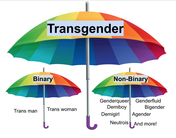 - (LGBT+, Transgender)