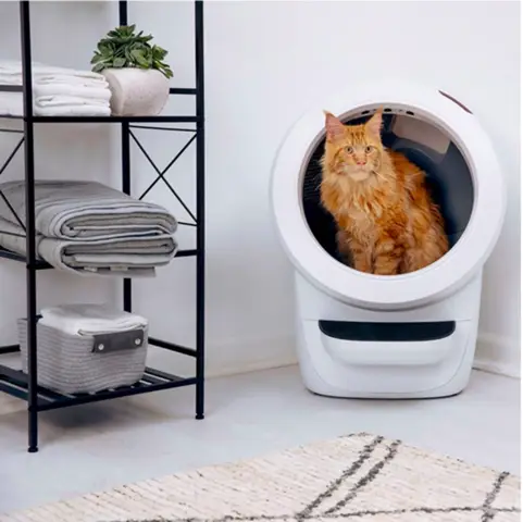 - (Tierhaltung, Hauskatze, Katzenhaltung)
