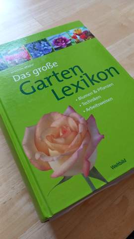Bild zum Beitrag