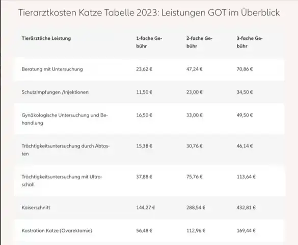 - (Katze, Tierarzt, Katzenverhalten)
