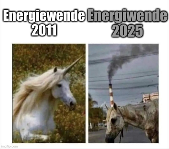 - (Regierung, Die Grünen)