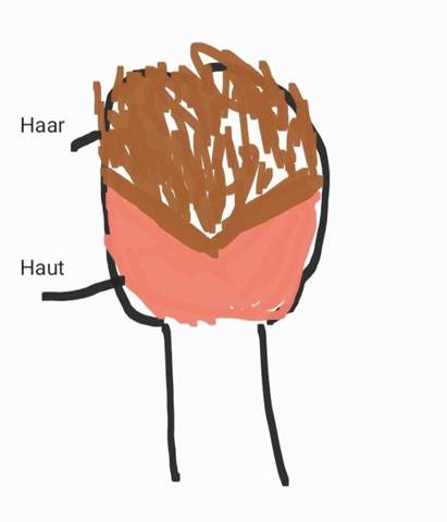 - (Mädchen, Frauen, Jungs)