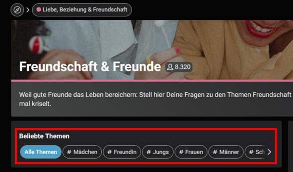 - (Thema, Interessen)