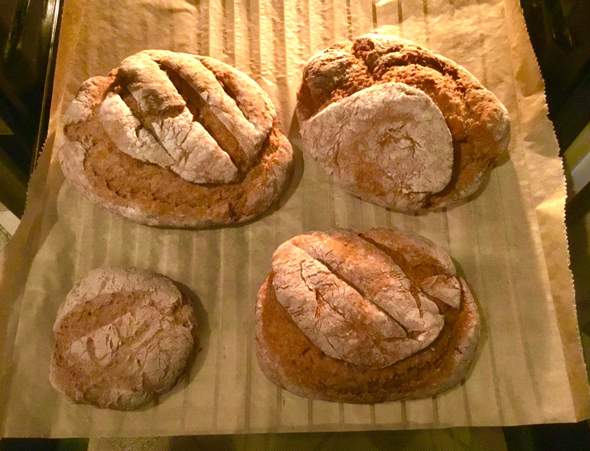 - (Frühstück, Brot)
