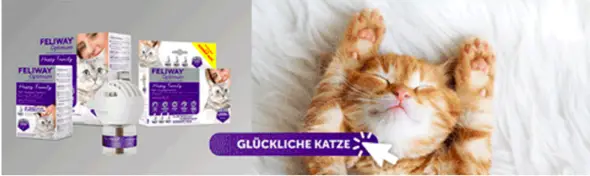 - (Katze, Tiergesundheit, Katzenverhalten)