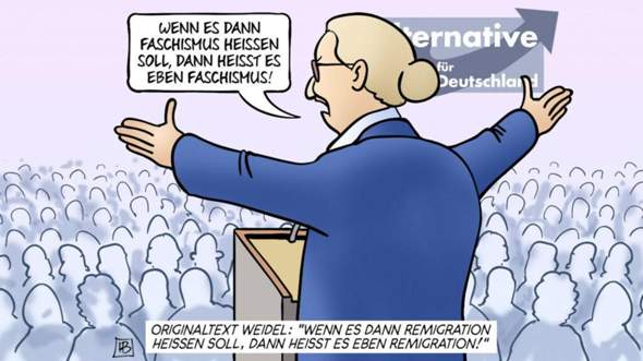 - (Partei, AfD, Bundestag)