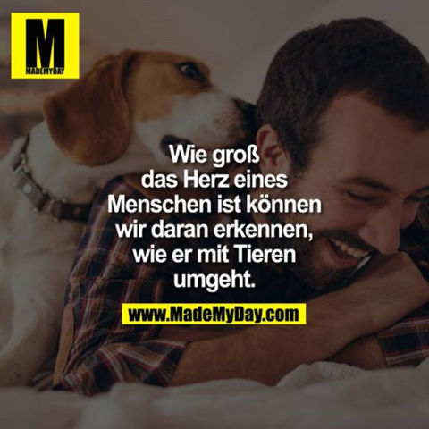 Bild zum Beitrag
