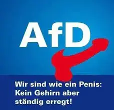 - (Politik, Geschichte, Wahlen)