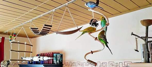 - (Ernährung, fliegen, Tierhaltung)