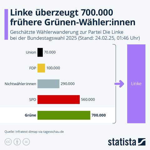 - (Partei, Bundestag, DIE LINKE)