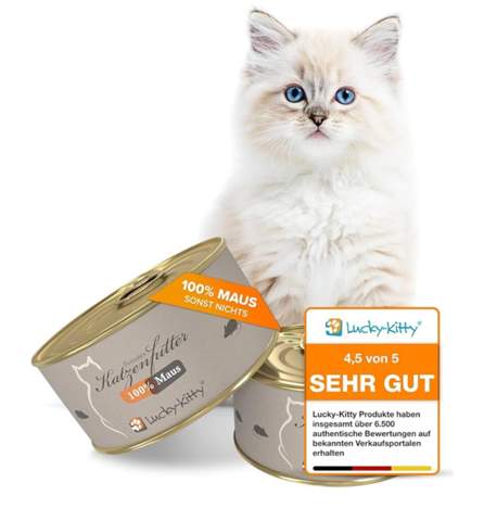 - (Maus, Kater, Futter)