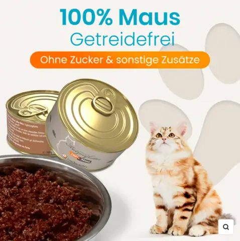 - (Maus, Kater, Futter)