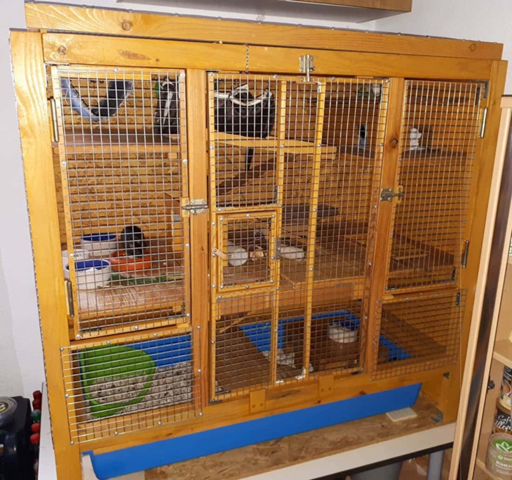- (Haustiere, Tiermedizin, Futter)