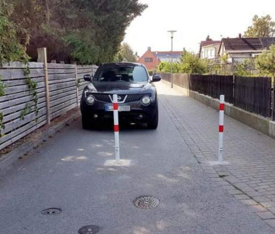 Bild zum Beitrag