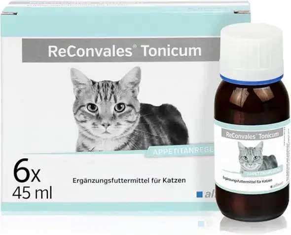 - (Ernährung, Tierarzt, Kater)