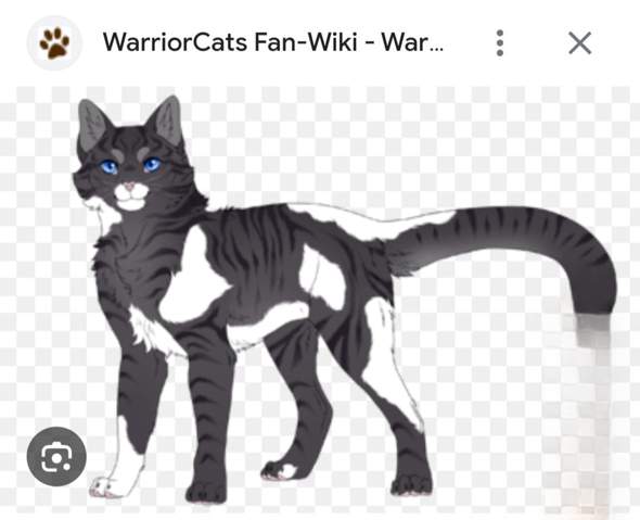 - (Warrior Cats, Fantasy-Bücher, Warrior Cats Name)