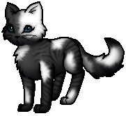 - (Warrior Cats, Fantasy-Bücher, Warrior Cats Name)