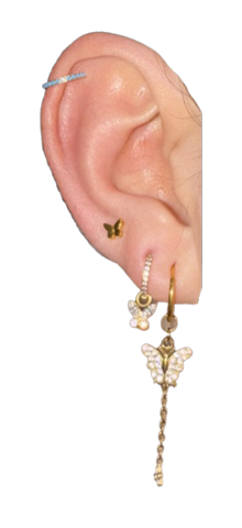 - (Aussehen, Piercing, Ohr)