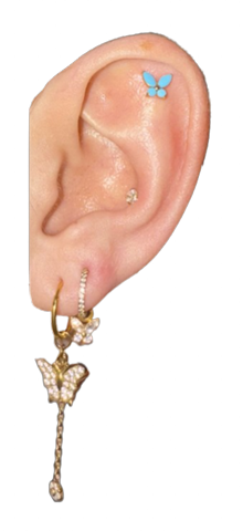 - (Aussehen, Piercing, Ohr)