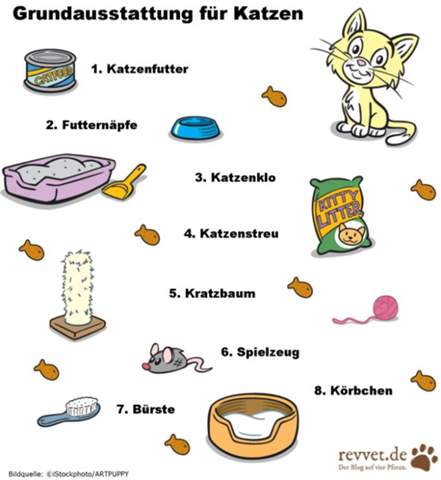 - (Tierarzt, Tierhaltung, Hauskatze)