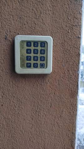 Bild zum Beitrag