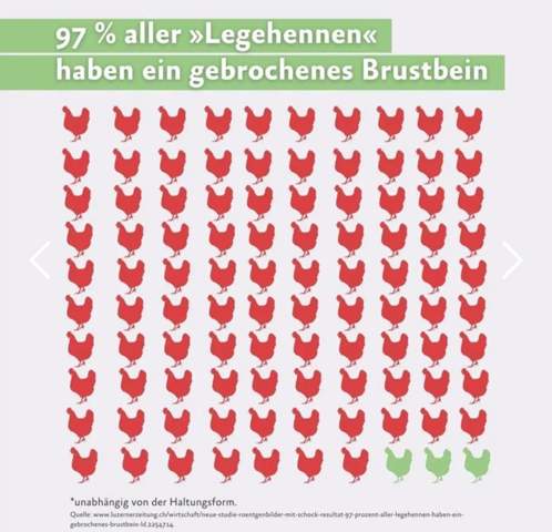 - (Tiere, gesunde Ernährung, vegan)