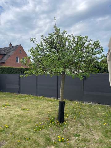 - (Garten, Gärtnerei, Gartenbau)