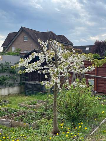 - (Garten, Gärtnerei, Gartenbau)