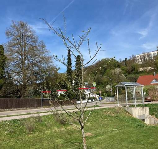 - (Garten, Gärtnerei, Gartenbau)