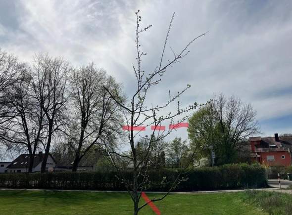 - (Garten, Gärtnerei, Gartenbau)