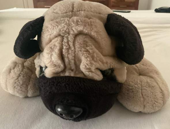 - (Kuscheltier, Plüschtier, Stofftier)