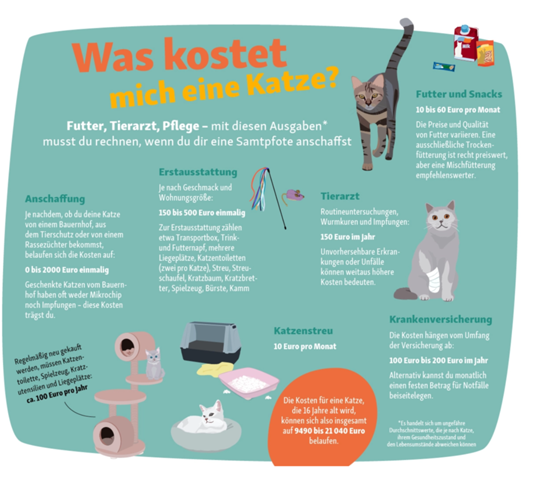 - (Kater, Hauskatze, Katzenhaltung)