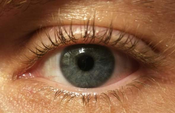 - (Bilder, Augen, Malerei)