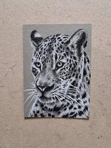 - (Bilder, Kunst, zeichnen)