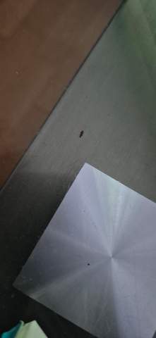- (Insekten, Schädlinge, Ungeziefer)