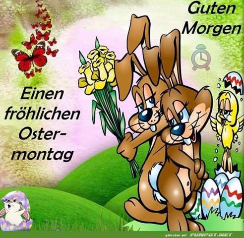 - (Freizeit, Freunde, Familie)