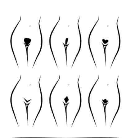 - (Männer, Sexualität, Penis)
