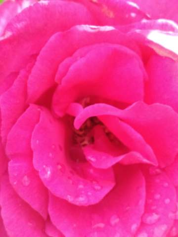 - (Natur, finden)