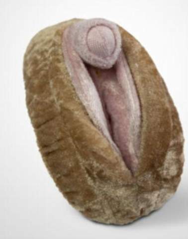 - (Vagina, Gynäkologe)