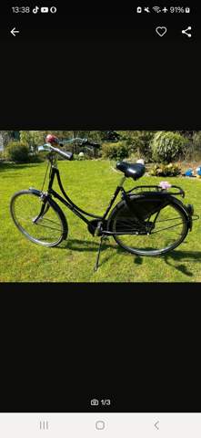 - (Fahrrad, Diebstahl, Mountainbike)