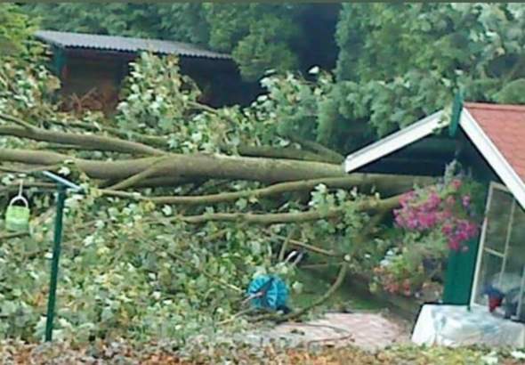 - (Gewitter, Sturm, Donner)