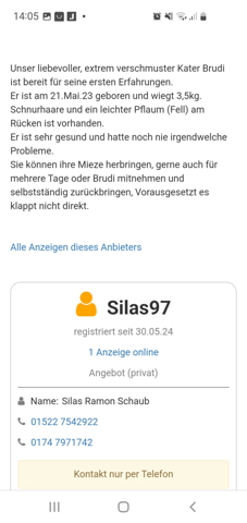 Bild zum Beitrag