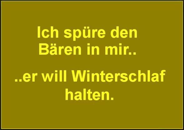 - (Tiere, Hund, Katze)