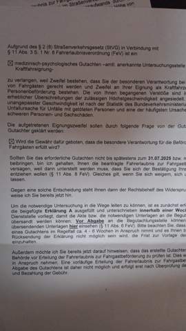 - (Führerschein, Straßenverkehrsordnung, Bußgeld)