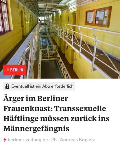 Bild zum Beitrag