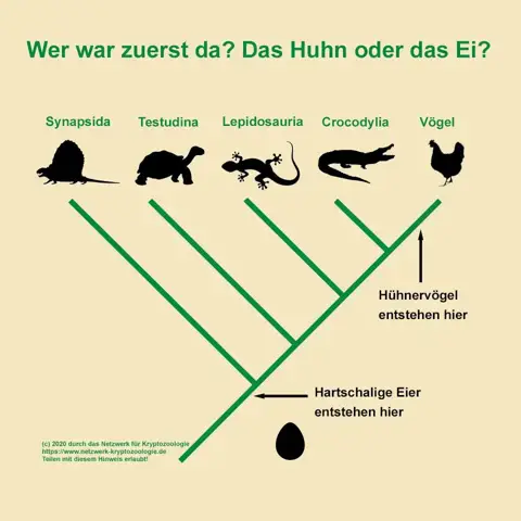 - (Tiere, Evolution, Evolutionstheorie)