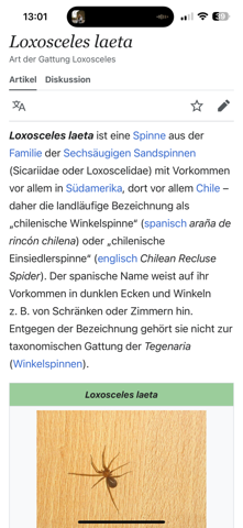 Bild zum Beitrag