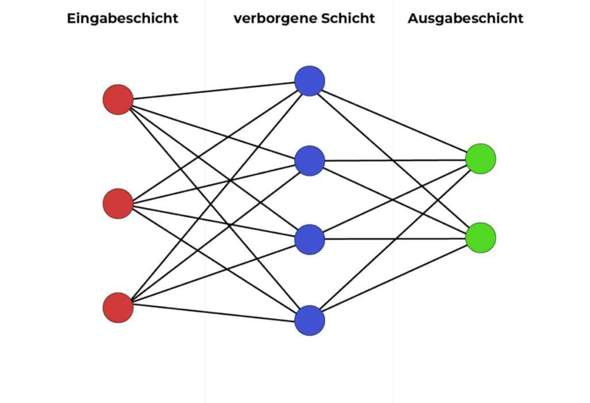 Bild zum Beitrag
