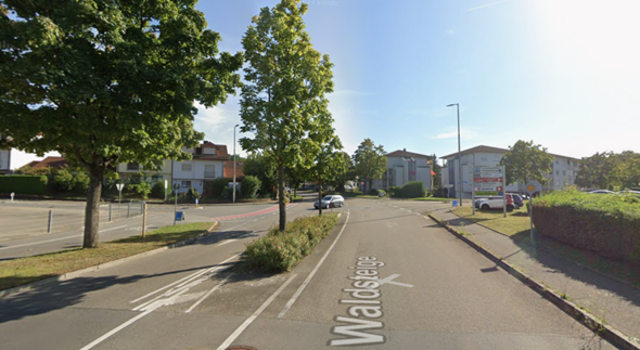 Bild zum Beitrag
