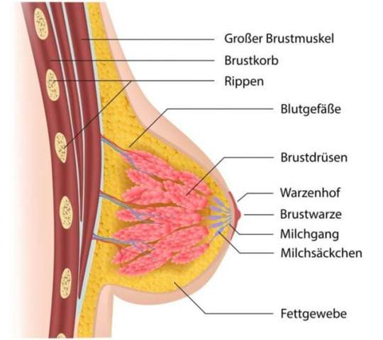 Bild zum Beitrag